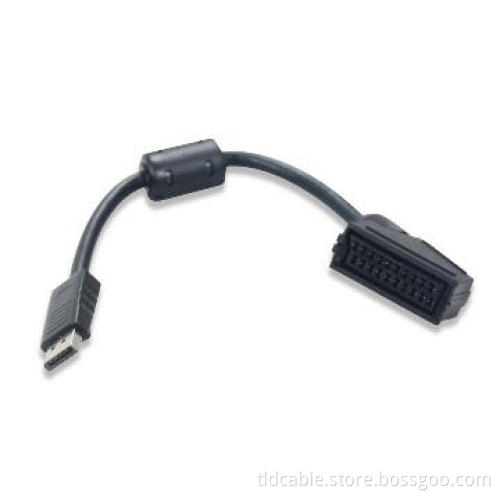 Male to Male Displayport to Scart